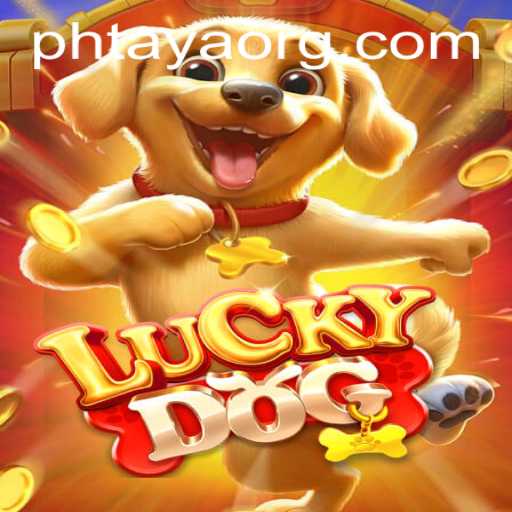 LuckyDog: Exploring the World of PHTaya